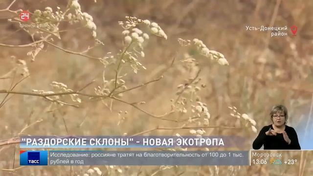 Новости на Дону 08.09.2020 смотреть онлайн