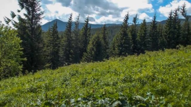 тур в карпати, говерла,  червень 2016р.