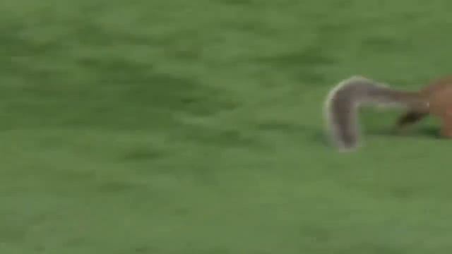Футбол Смешные моментов ⚽😂 смотреть онлайн