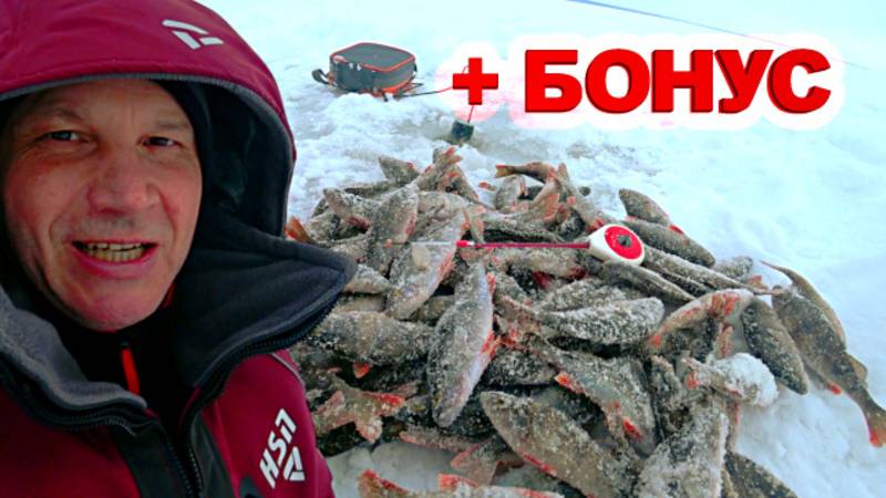 РЫБАК НАШЕЛ РЫБНЫЙ РАЙ И ОБАЛДЕЛ! РЫБАЛКА НА БЛЕСНУ И МОРМЫШКУ. [ВЕСЕННИЙ ЖОР 2025] смотреть онлайн