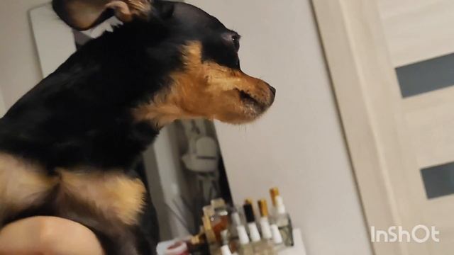 2024г. Интуитивное питание // Такой себе цветовод😁// Нужно больше блонда😋 // Mariya VD LIFE. смотреть онлайн