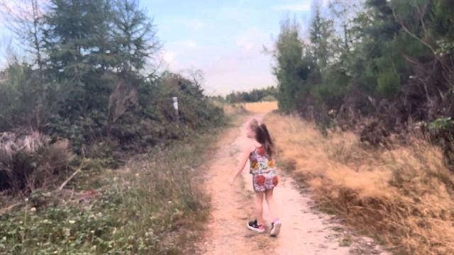 Засцвёл ВЕРЕСК в заповеднике Германии. 2022 смотреть онлайн