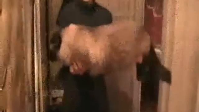 Абсолютно бесполезный кот смотреть онлайн