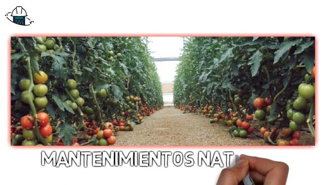 INGENIERÍA AGRONÓMICA , Todo sobre estudiar la carrera | Felix Jimenez смотреть онлайн