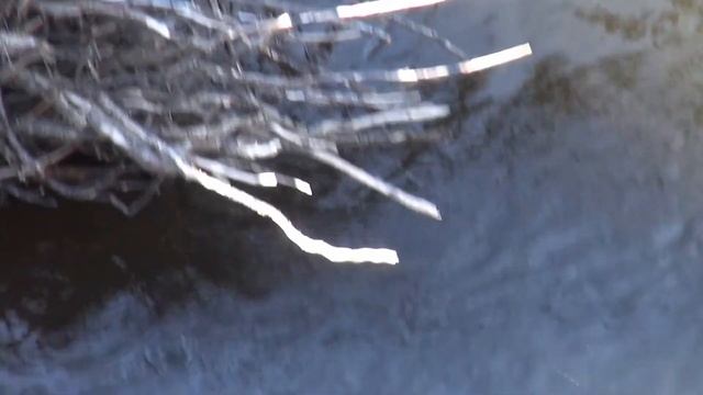 Ах, рыбалка рыбалочка смотреть онлайн