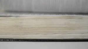 Book flipping footage. Перелистывание книги футаж