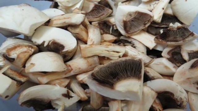 Сборник рецептов