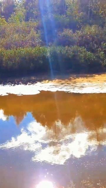 РЕКА ПРА 2022.09.04