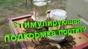 Стимулирующая подкормка - благо или вред? Неожиданные выводы профессора Кашковского