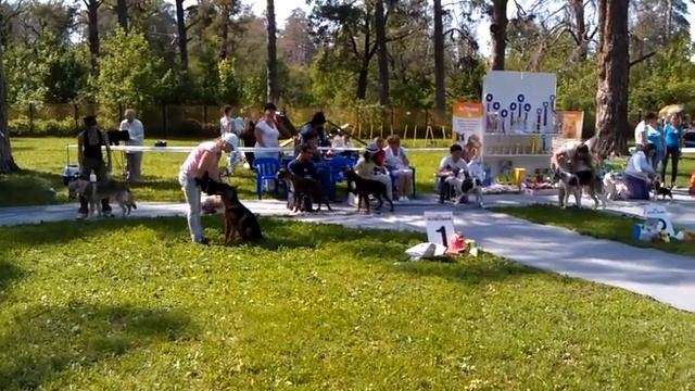 Выставка в Тольятти 19.05 смотреть онлайн