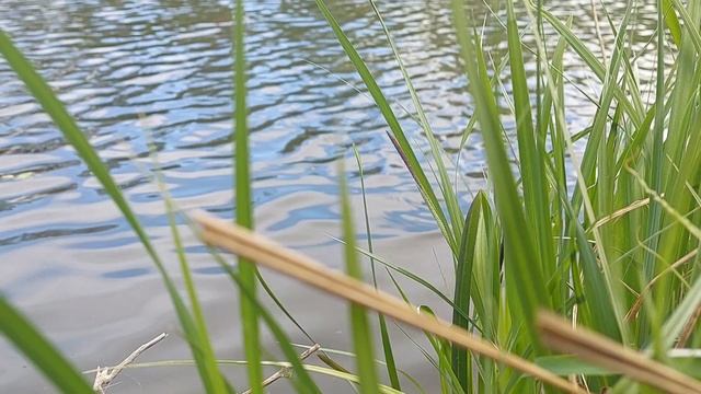 Приветствую тебя, пустынный уголок,
Приют спокойствия, трудов и вдохновенья.
А. С. Пушкин