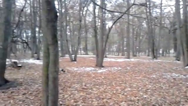 Осенний парк Брянска смотреть онлайн