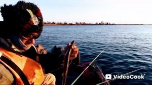 Весенняя чехонь на р. Свирь