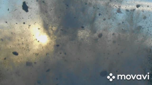 Неделимы (remix #2)