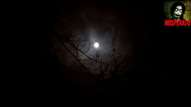 Безответная любовь. Страшные истории на ночь 🫣🫣🫣 смотреть онлайн