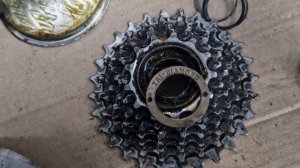 Сколько шариков в трещетке велосипеда? Ответ 72 шт