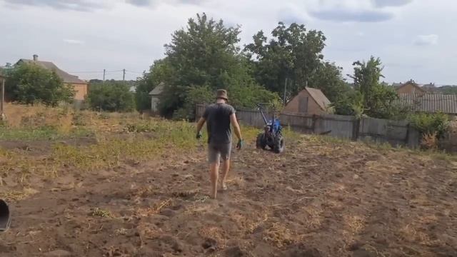 Врожаю картоплі немає. Навіть перша репродукція неврожай смотреть онлайн