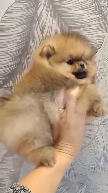 Улыбка😊☺🤗