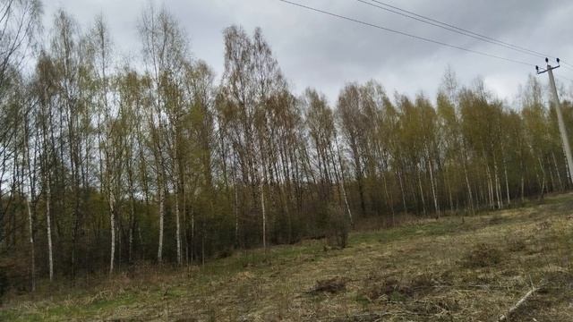 Продолжаю наблюдать за вегетацией смотреть онлайн