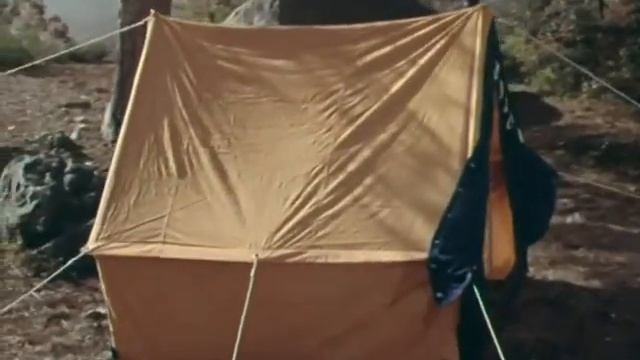 ОСЕНЬ  Медовая неделя в октябре