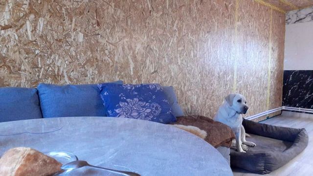 Загрузка из Деревни , что привезли ? Остаёмся на долго . смотреть онлайн