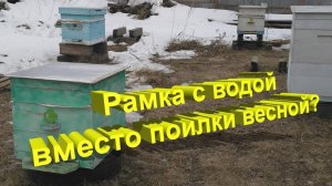 Профессор Кашковский: рамка с водой вместо поилки?