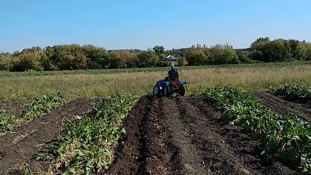 Самодельный минитрактор переломка 4×4. Копка картофеля. смотреть онлайн