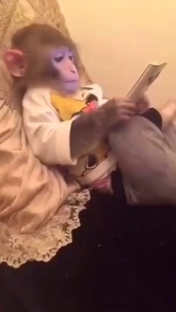 сам знаешь кому отправить) #приколы #дослез #юмор смотреть онлайн