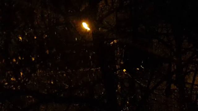 СНЕГ С ДОЖДЕМ В МОСКВЕ И ТЕМПЕРАТУРА +2!!! МОСКВА 28.01.2021 смотреть онлайн