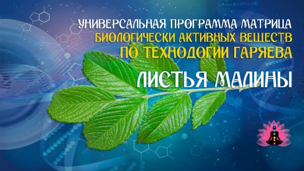 Малина листья 🔊 программа матрица по технологии Гаряева П.П ☀️ SoftRadio.ru