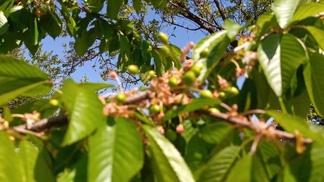 Всех с праздником 🎉