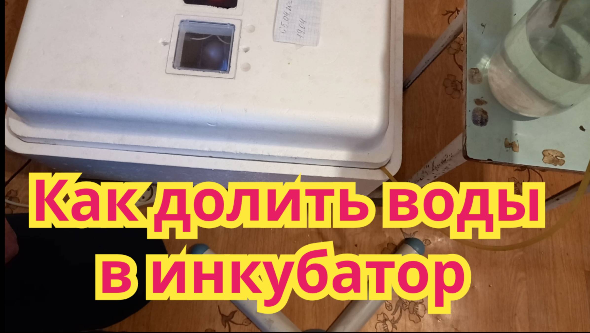 Как я , доливаю воду в инкубатор, во время инкубации. смотреть онлайн