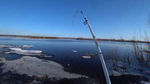 Рыбалка на Донки-Крокодилы. Еле Вытащил Его на Берег. Открытие Сезона.