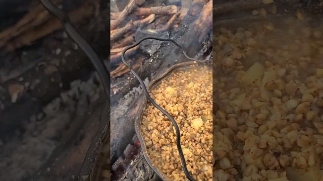 Прекрасні Горгани! Гута-Рущина-Сивуля-Погар-Гута