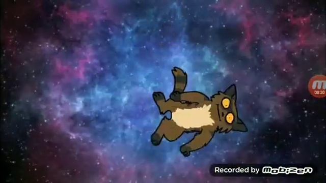 Приколы коты воители смотреть онлайн