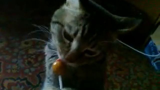Том и Чупа-чупс смотреть онлайн
