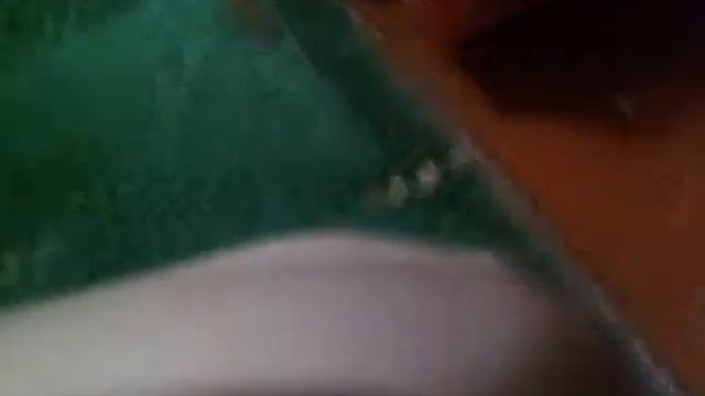 Появился хомка!!! смотреть онлайн