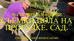 Съёмки Пола на прогулке с нашими чихуахуа. Что красит. № 756 Жизнь в Англии