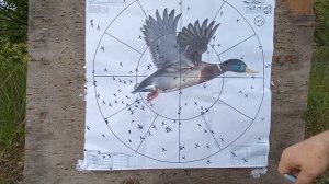 Huglu Renova vs ATA Arms Neo 12 отстрел разными номерами дроби на 35 м.