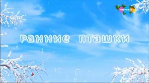 Смена логотипа телеканала "Карусель" с новогоднего, на обычный. (14.01.22).