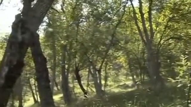 Арсланбоб ореховый рай. Заповедник. Азия Благословенный край. смотреть онлайн