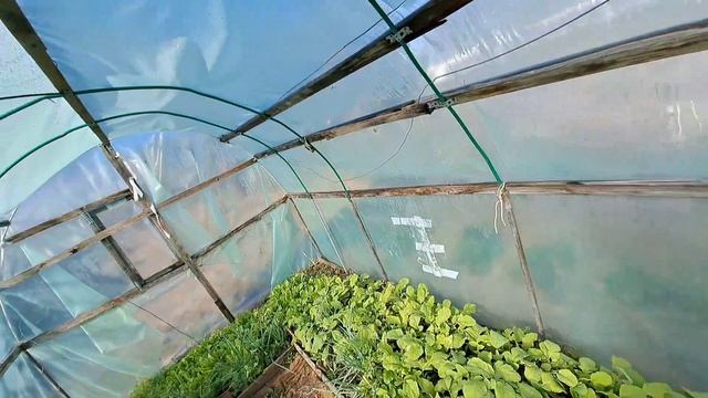 Быстренько нажарила котлеты и на ОГОРОД/РАБОТА НА ДАЧЕ смотреть онлайн