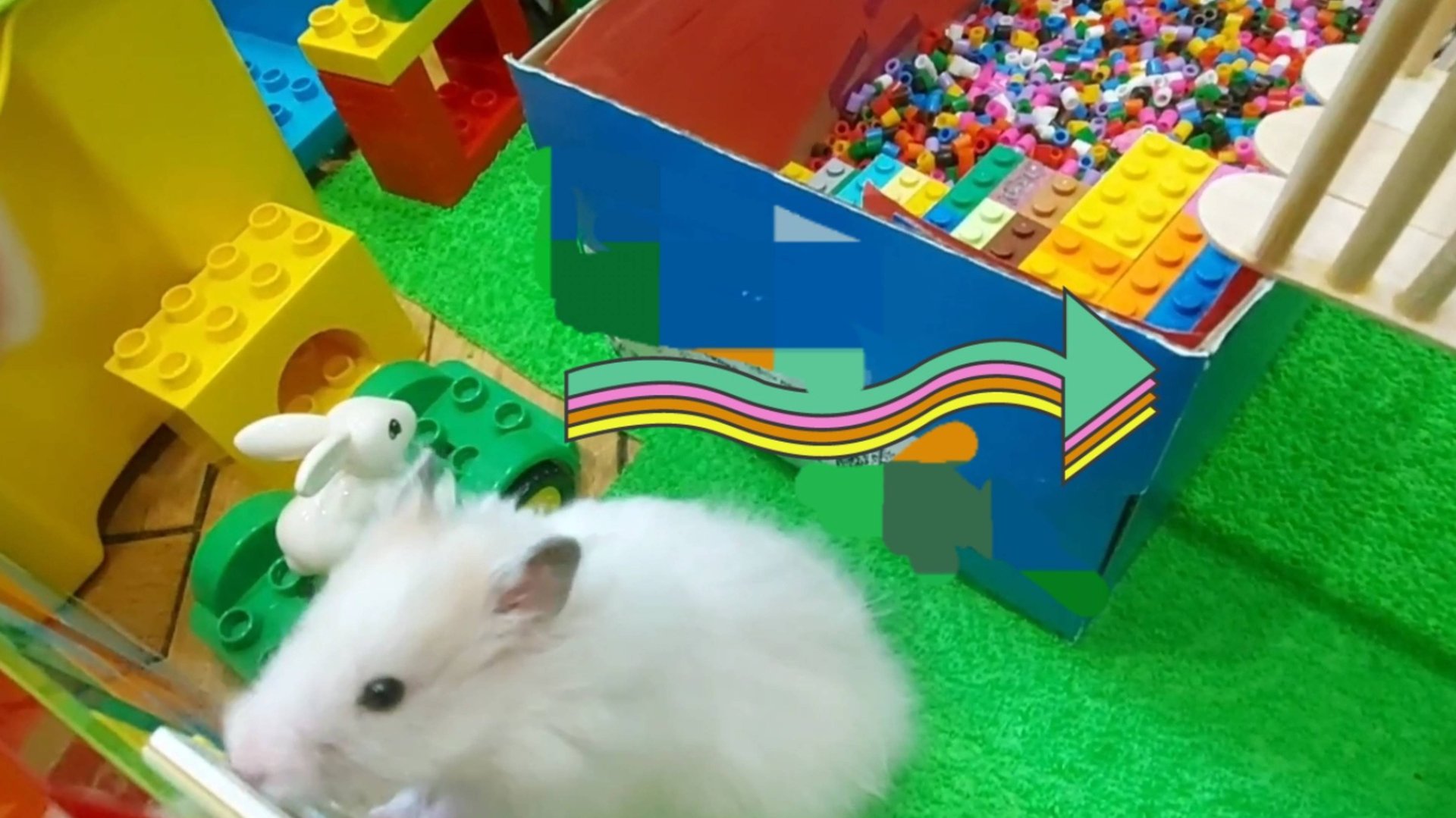 Хомяк в лабиринте смотреть онлайн