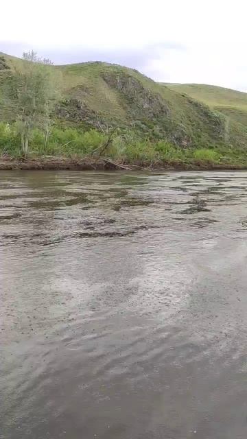 Мир труд май смотреть онлайн