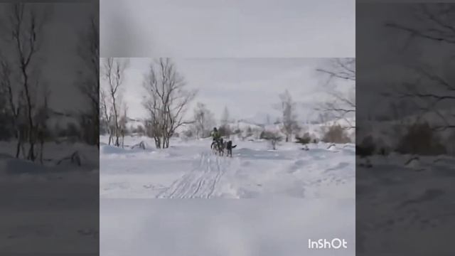 Берингия и казачий путь смотреть онлайн