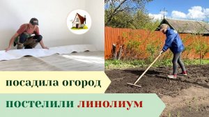 Посадила огород. Последствия заморозков. Архив 30 апреля.