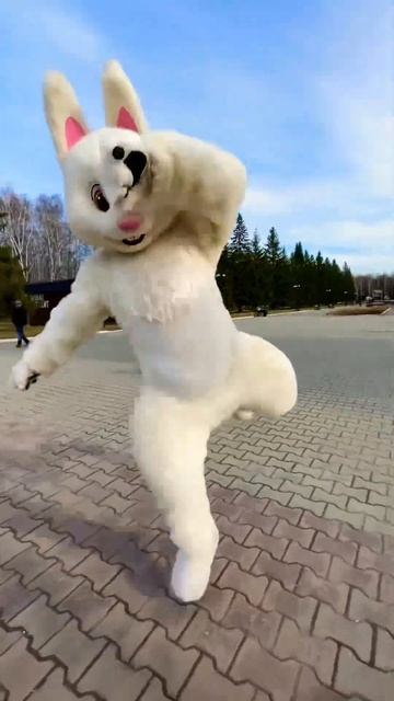 Танцующий зайка смотреть онлайн