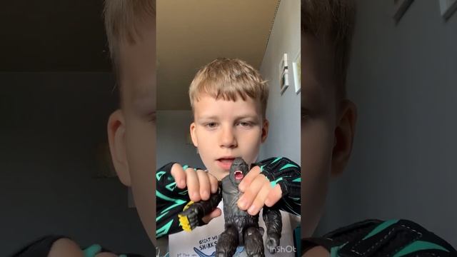 3 июня 2024 г.