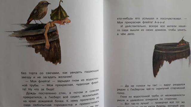 Даниэла Дрешер.Гном из восточной трубы.Из трубы прямо в дождевую бочку. смотреть онлайн