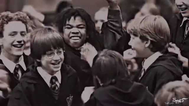 ●  Harry Potter | Гарри Поттер || где твои крылья